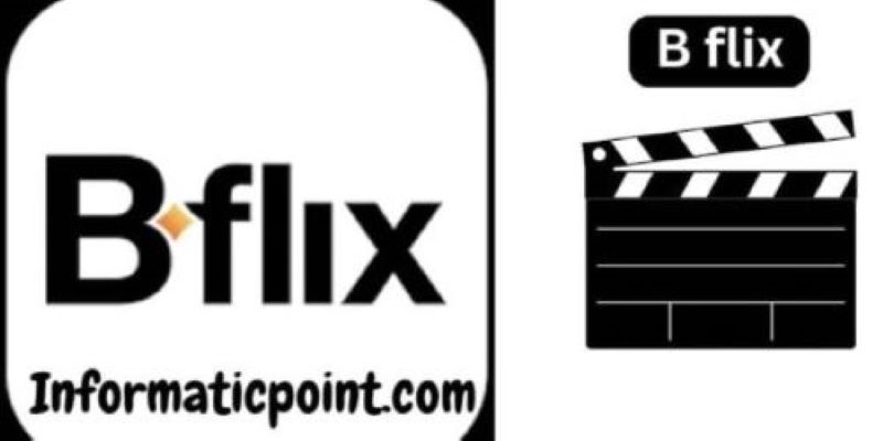 6 Best Bflix Alternatives 2024